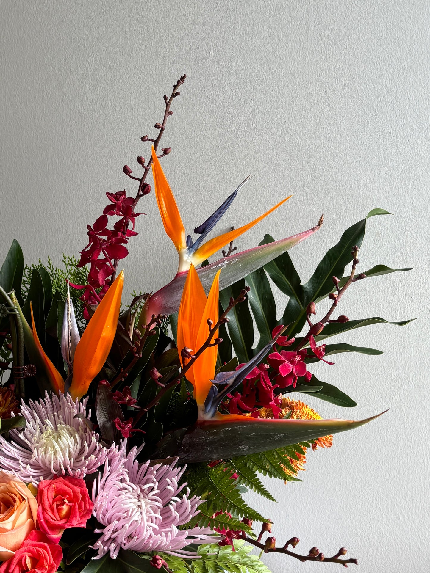 Vase | Phalaenopsis