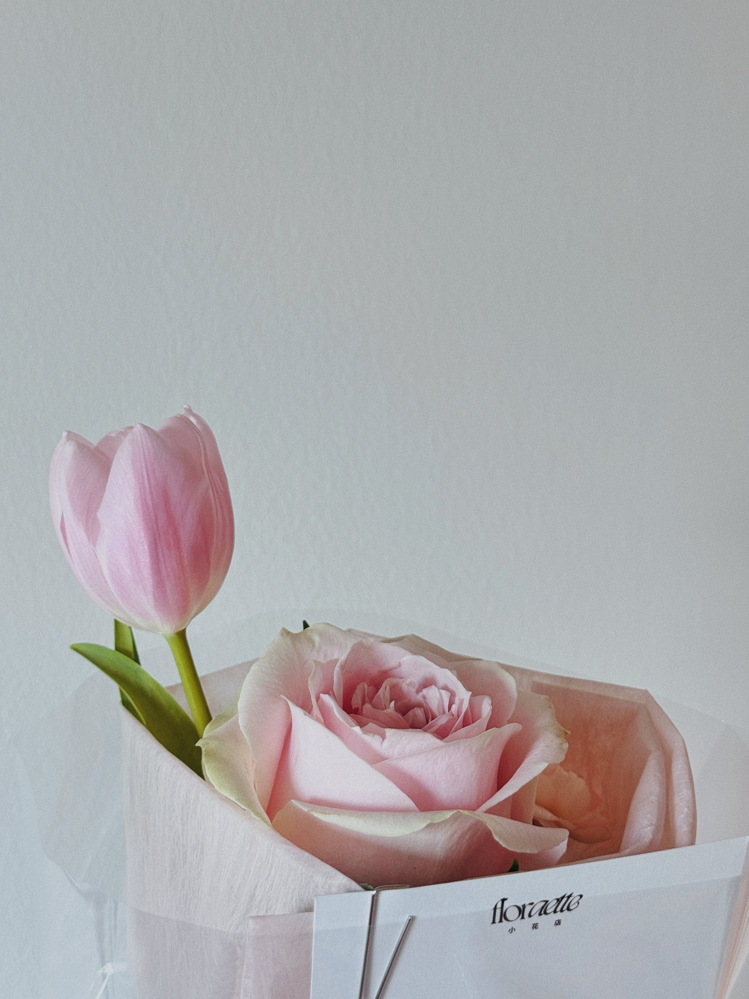 Valentine's Day
