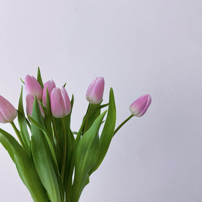Delicate Spring | Tulip, Single Series Bouquet