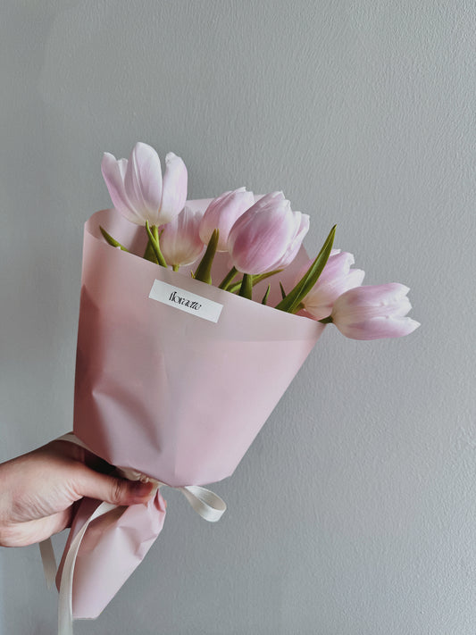 Delicate Spring | Tulip, Single Series Bouquet